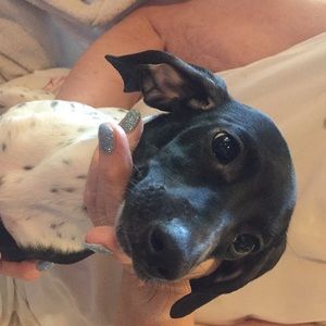 Meet your Posher, Peggy